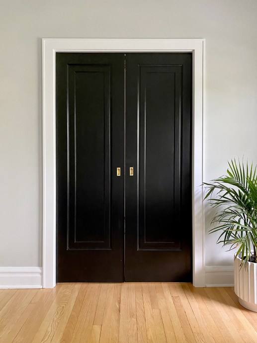 This Green Walk-In Closet in Chicago Only Cost $4,000