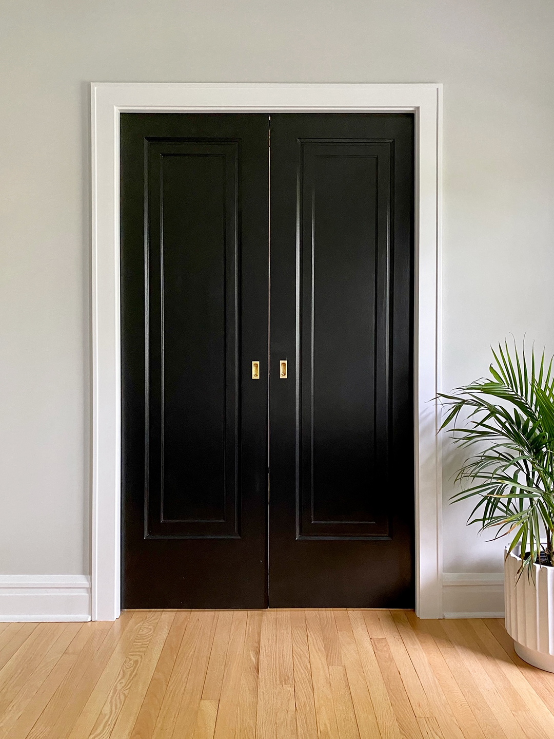 black pocket doors