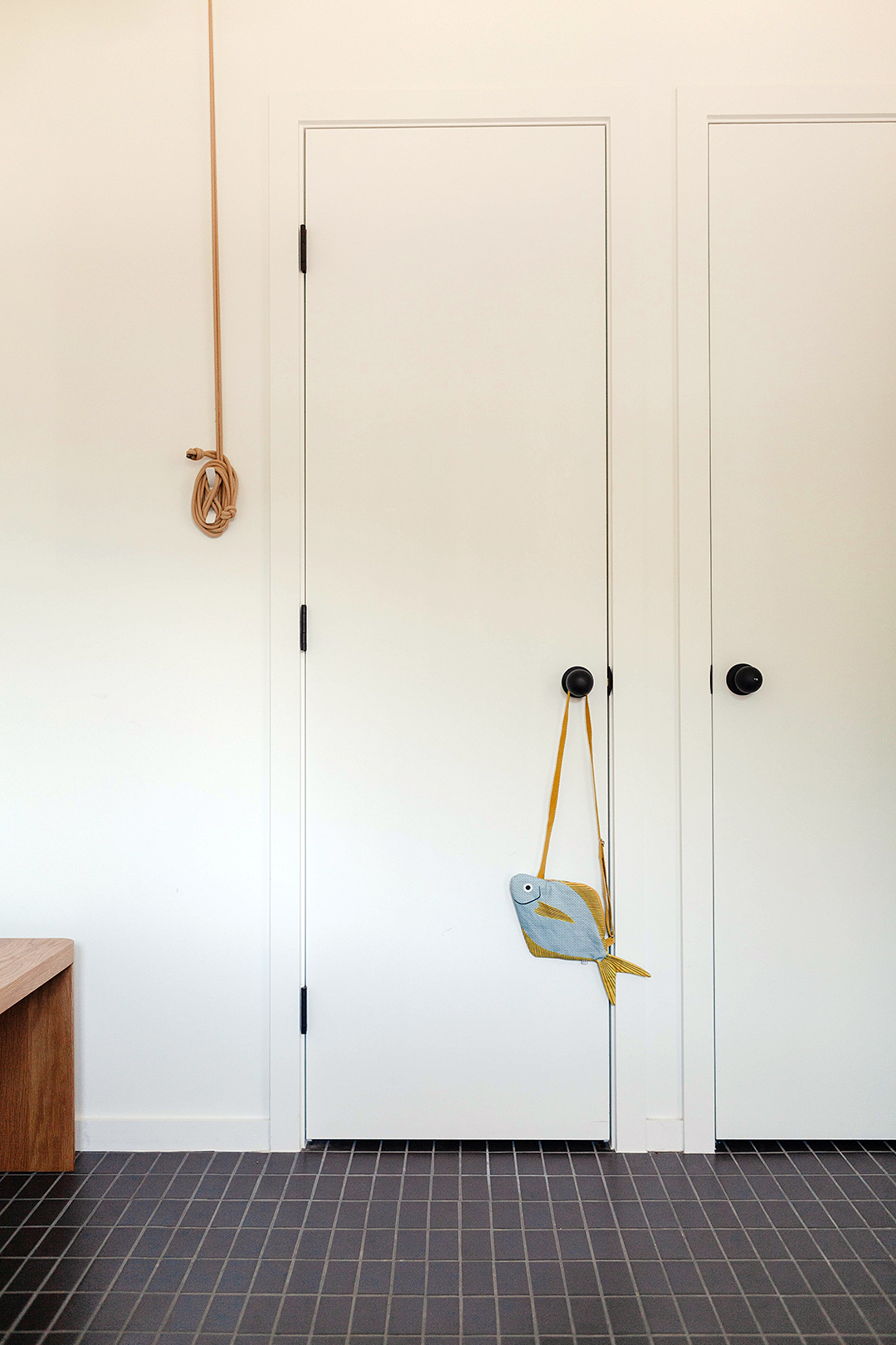 closet dor next to pulley system