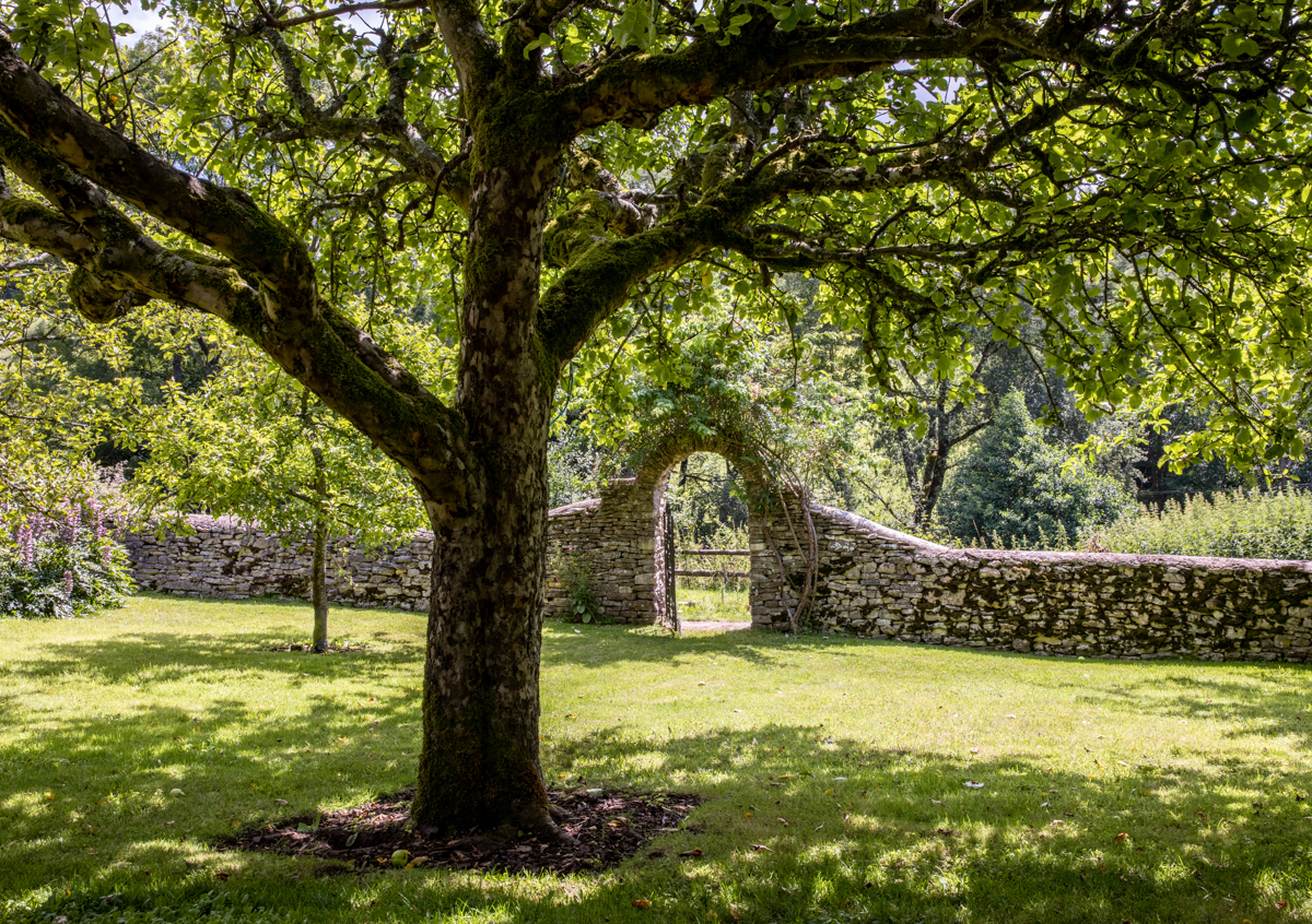 green yard with stone wall