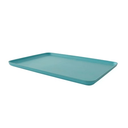  blue tray.