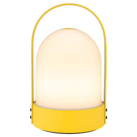  Yellow Amazon Lantern.