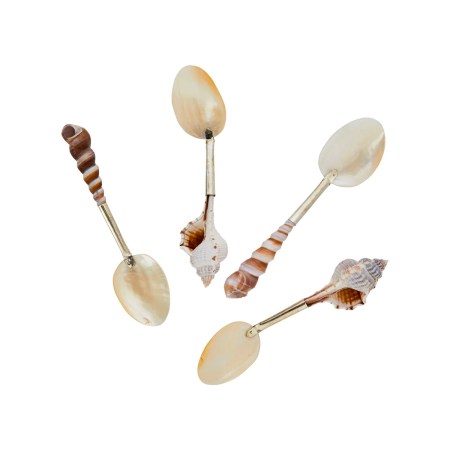  Shell Spoon, Jayson Home