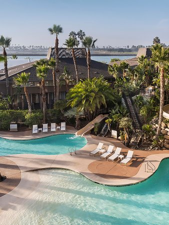 overhead view of pools and palm trees