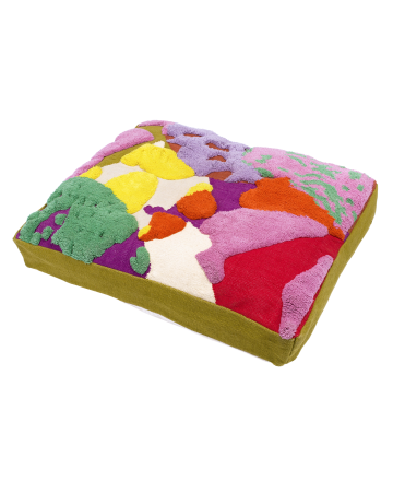  colorful dog bed