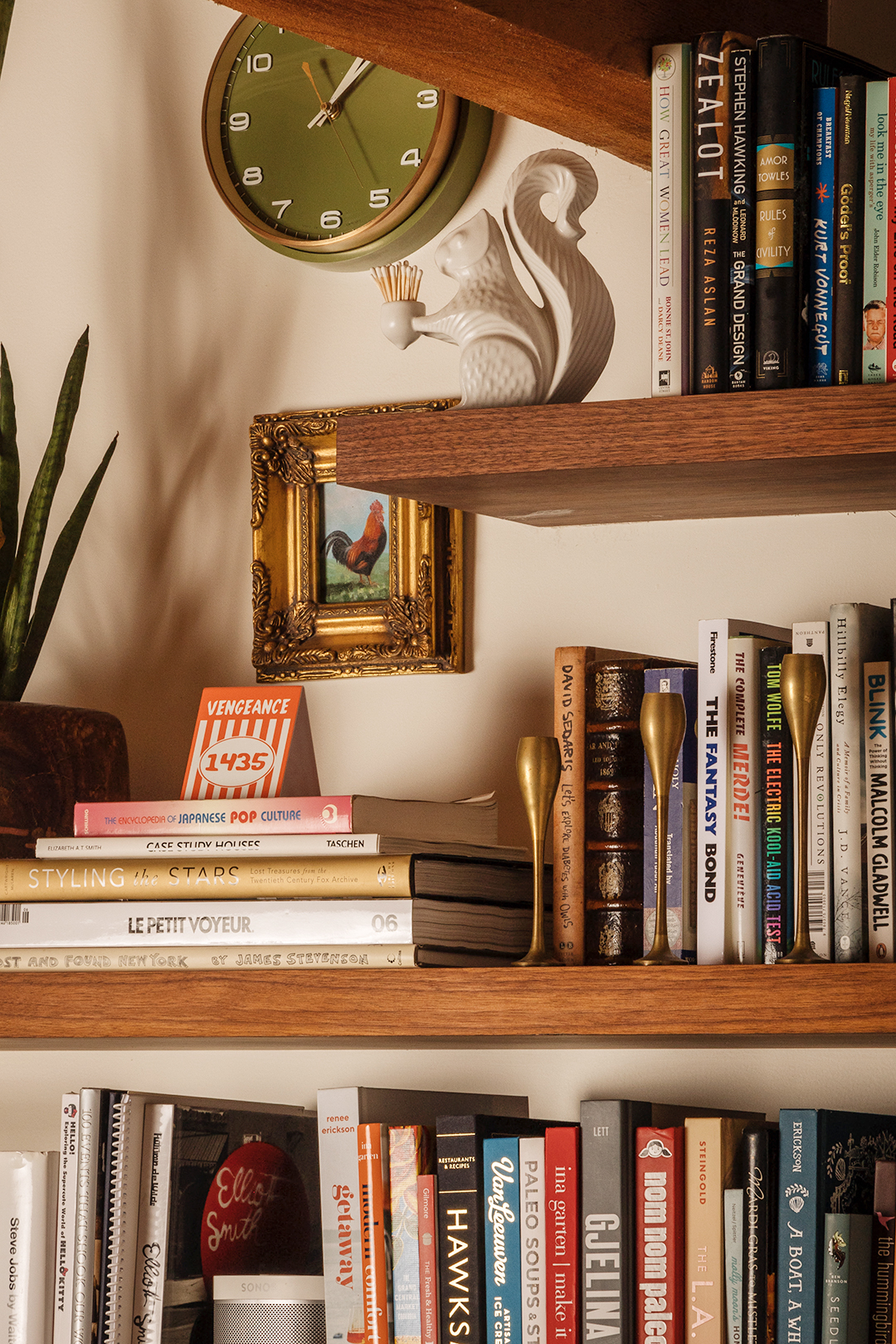 books on wood shelves