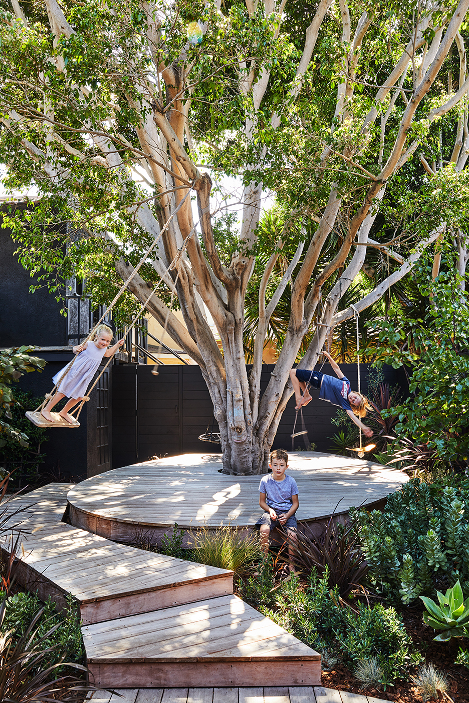 kids swinging from tree