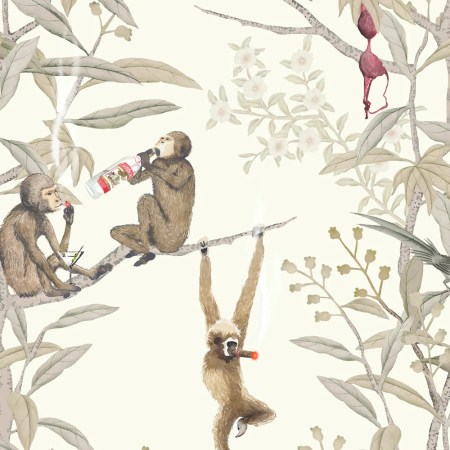  monkey wallpaper