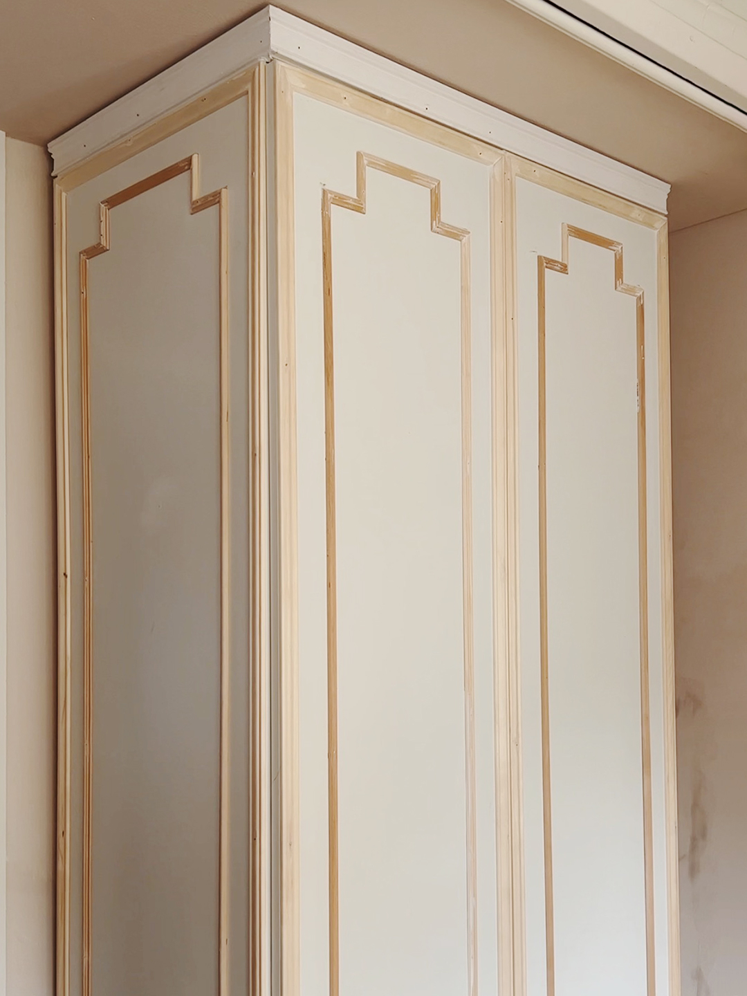 closet with molding on it