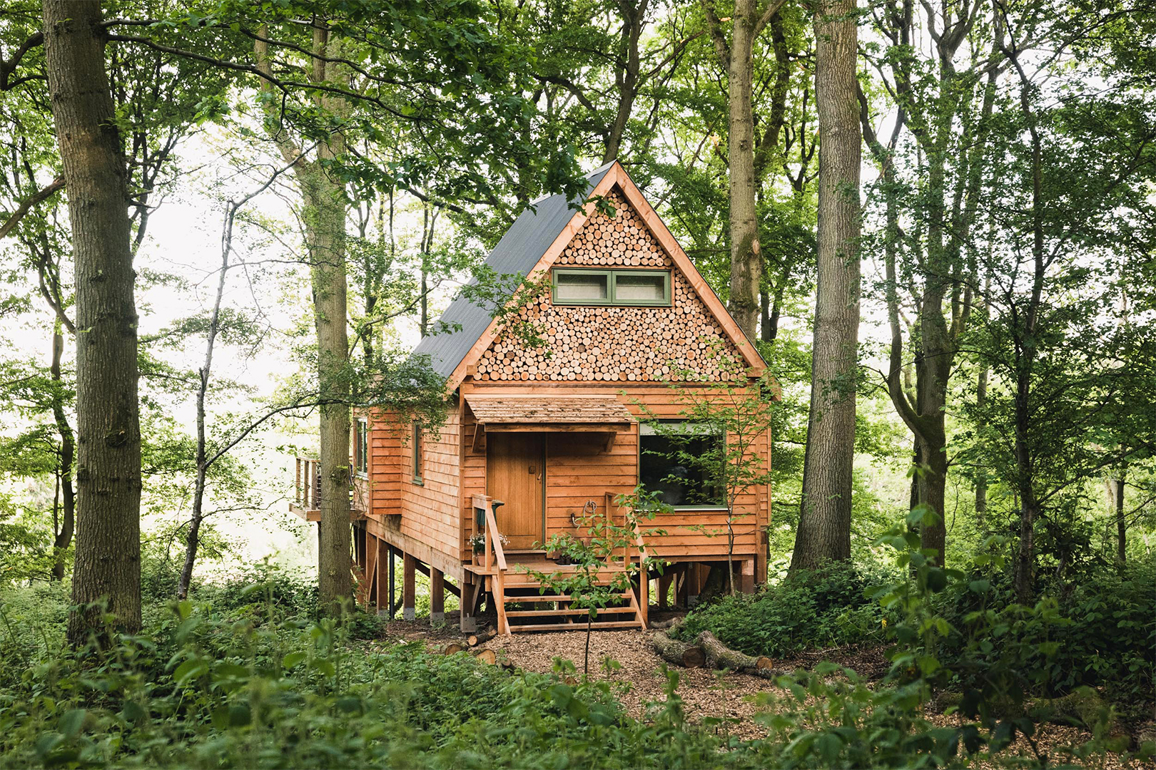 Wooden treehouse