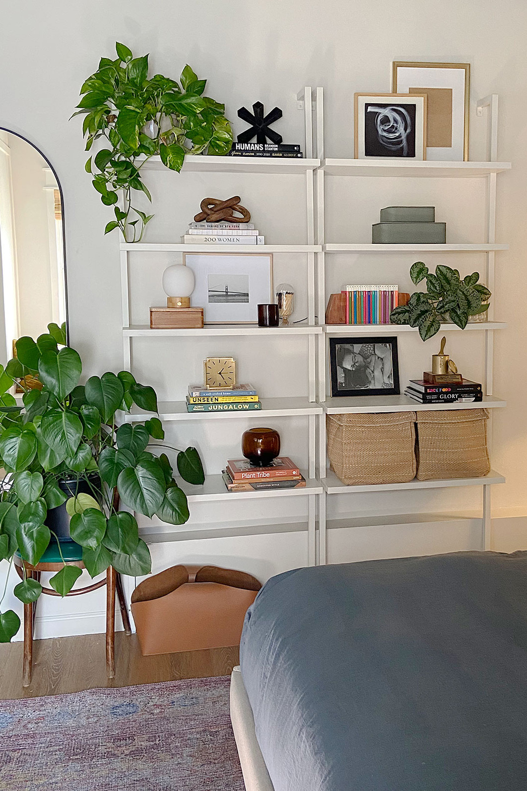 white shelving