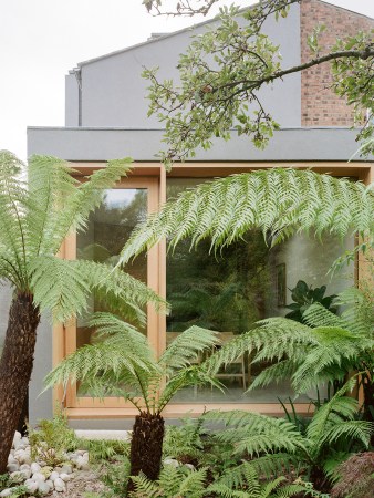 plants in front of window