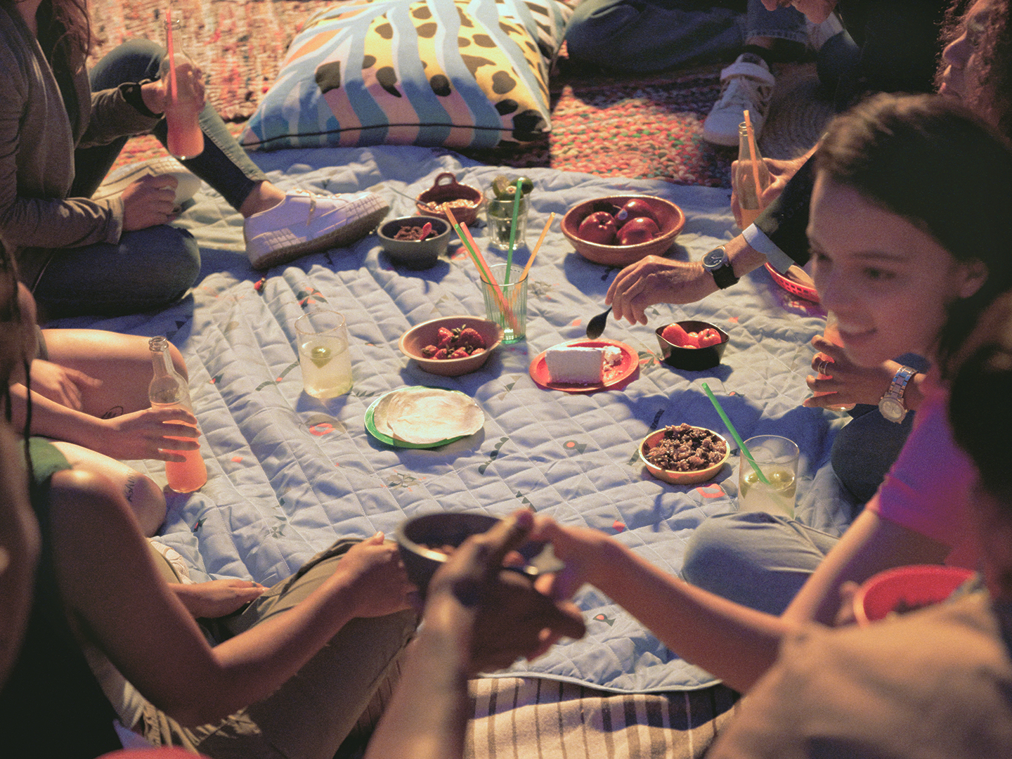 people on a picnic blanket