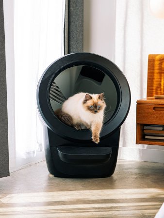 My Self-Cleaning Litter Box Is So Sleek That I Keep It in the Living Room