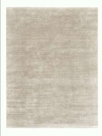  gray rug