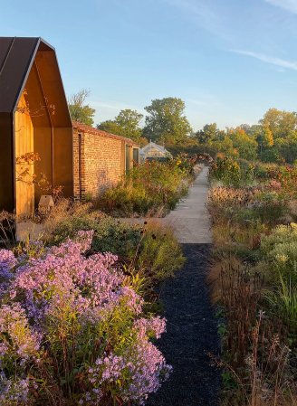 The Case for Embracing Decaying Plants in Your Yard