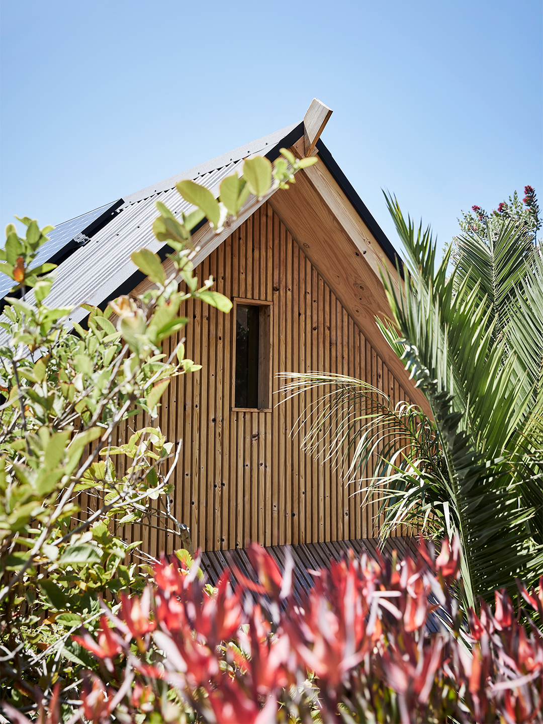 wood cabin roof