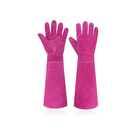  fuschia gloves