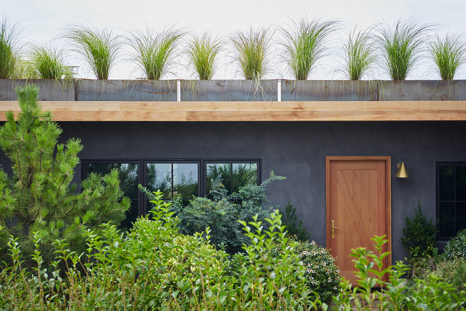 plants on roof