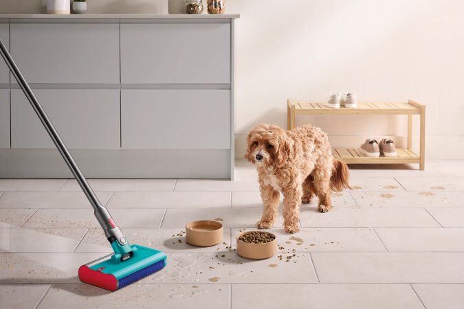 Dyson wet vaccum with a dog