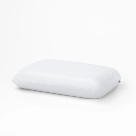  foam pillow insert