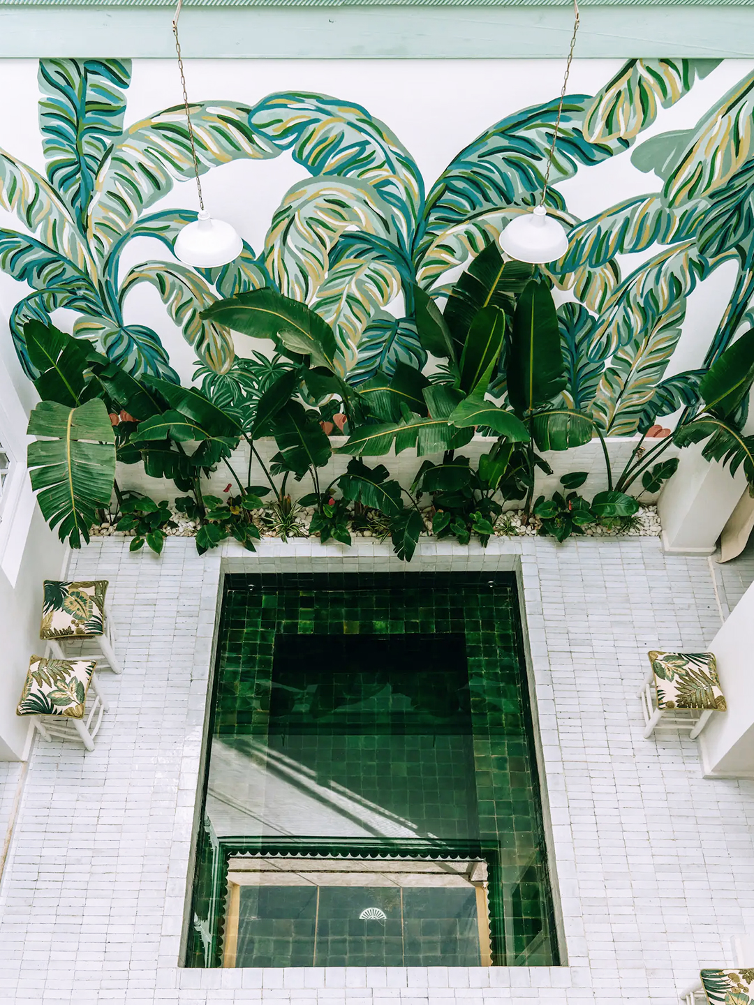 pool with palm tree wall