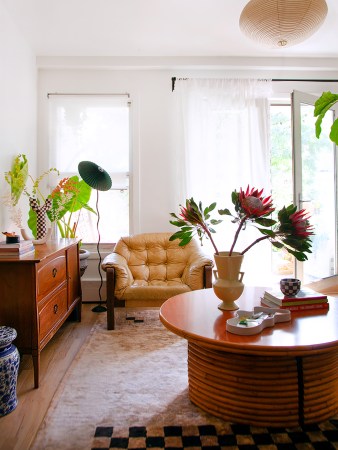 leather chair in sunny living room