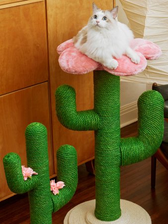 This Tangerine-Shaped Pet Bed at MoMA Had 100+ Eyes on It Last Time We Checked