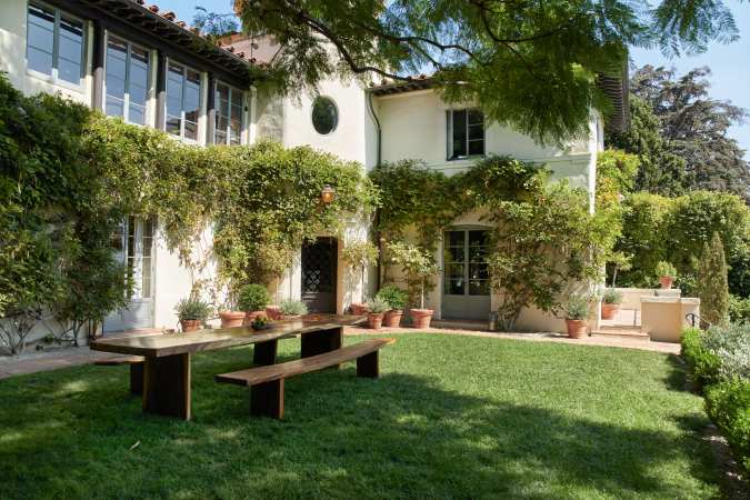 ivy covered house