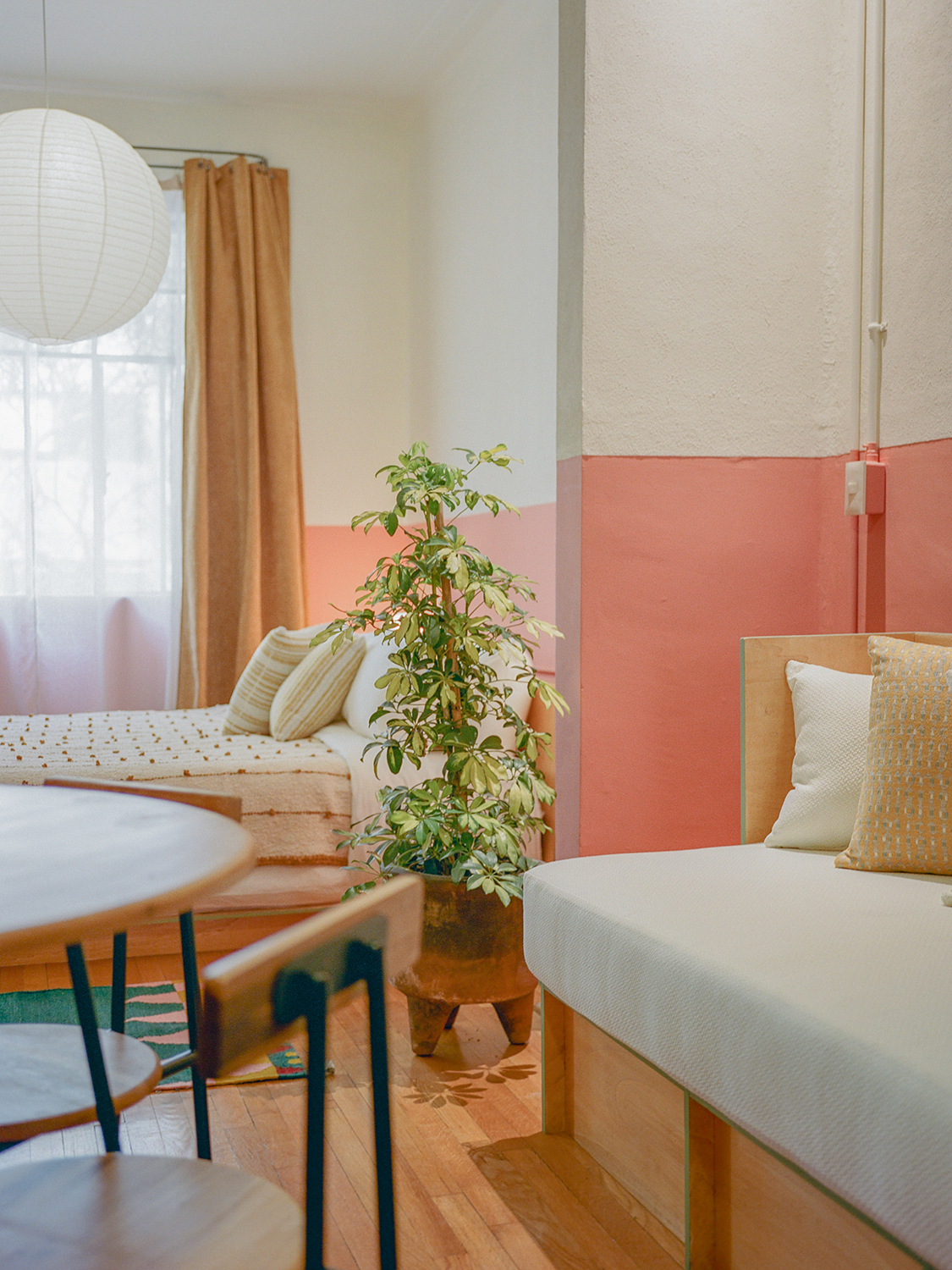 Half coral walls at a day bed in a guest room