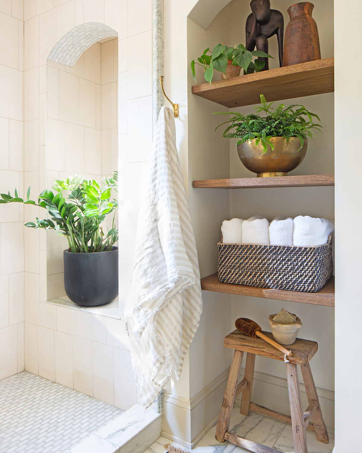 plants on bathroom shelves