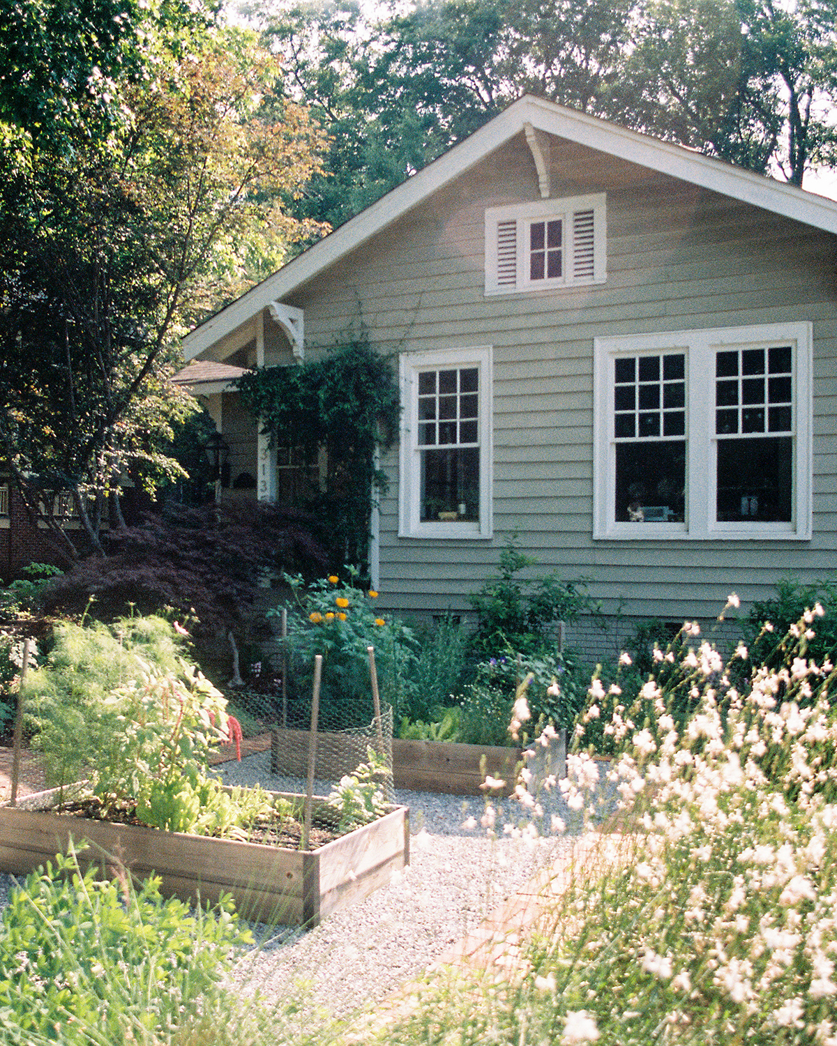 green house with flowers