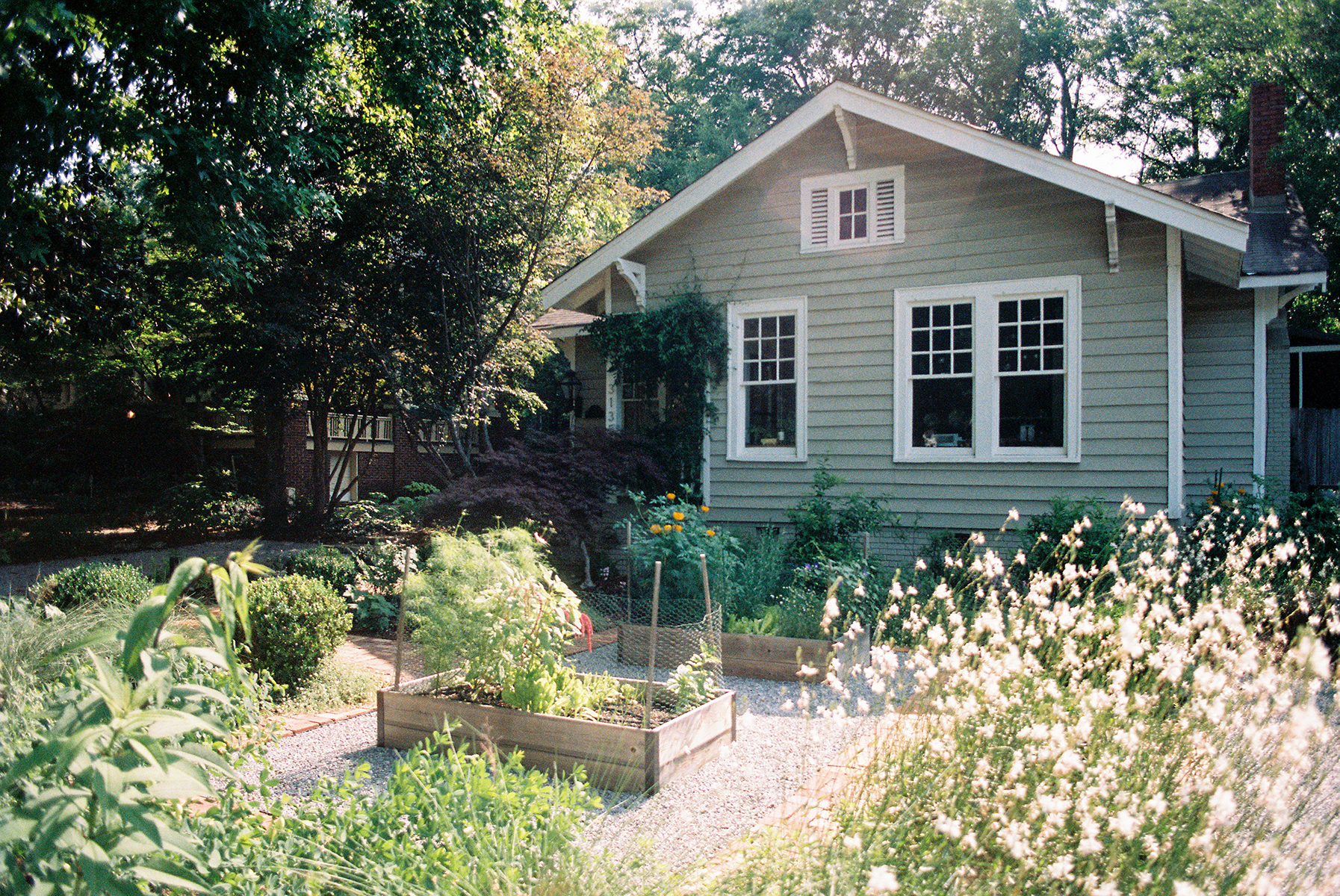 green house with flowers