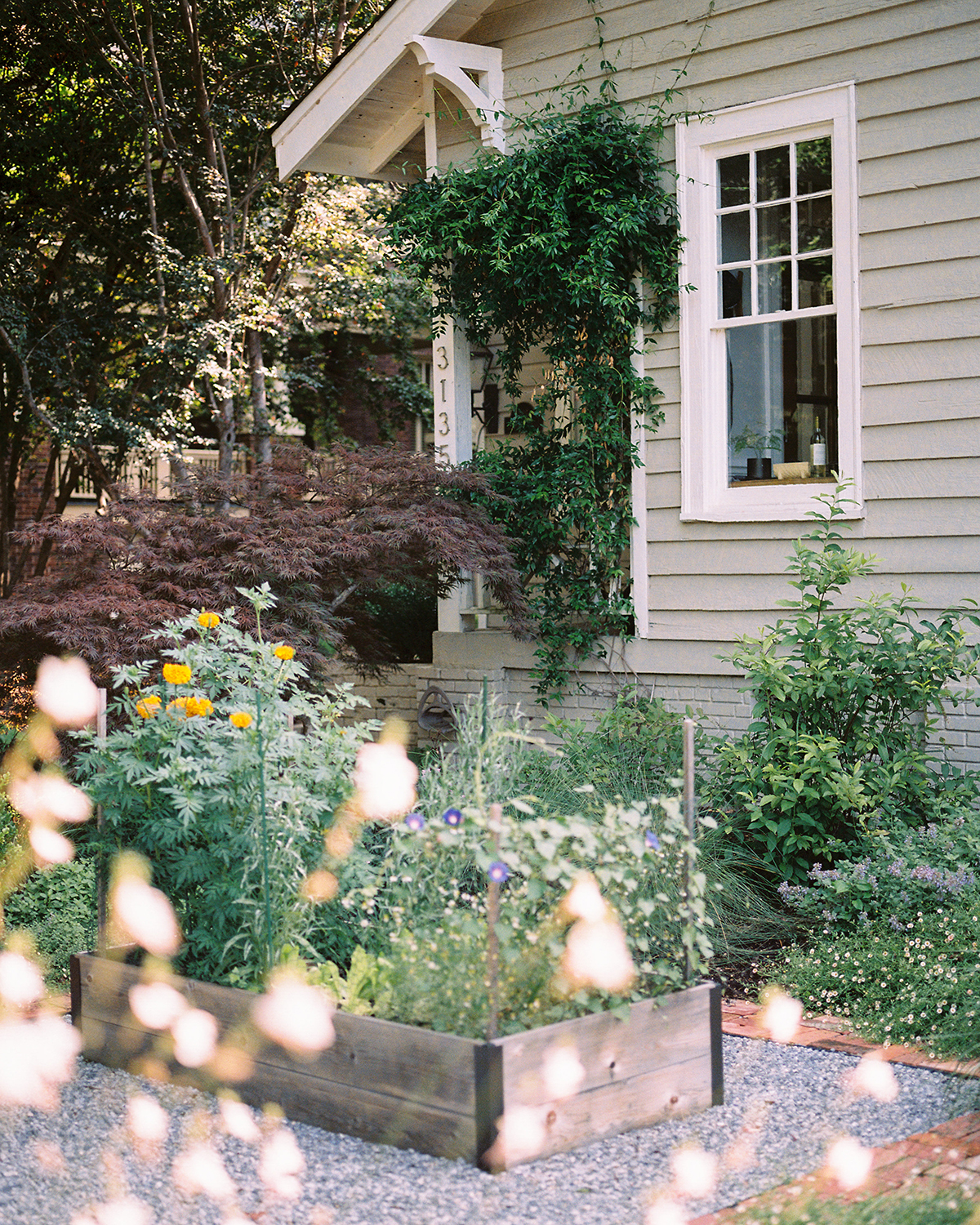 green house with flowers