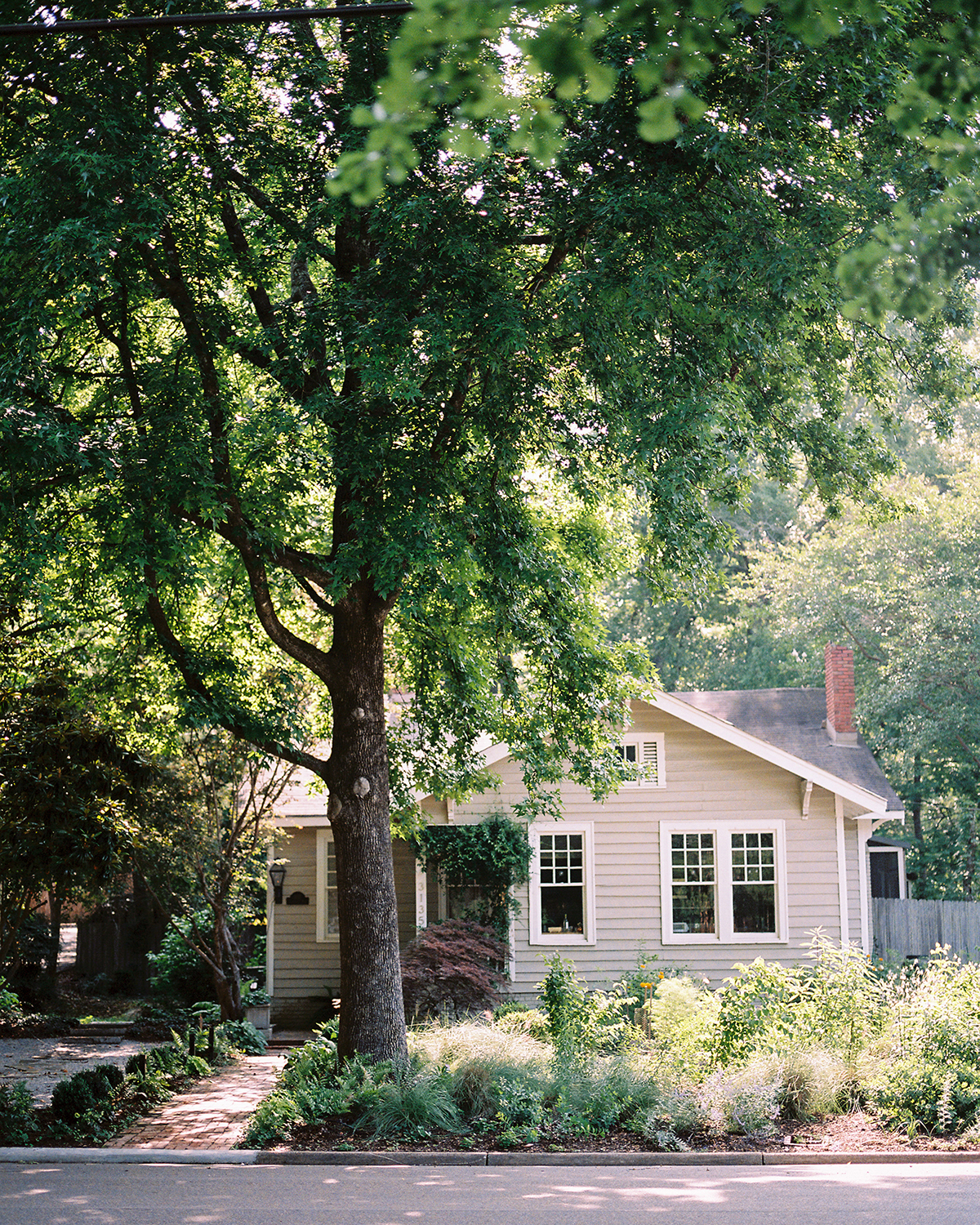 green house with flowers