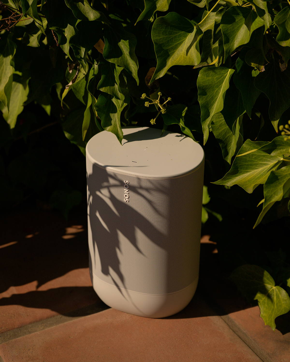 Sonos speaker in foliage