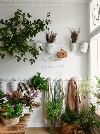 Flower shop with white walls and peg rail