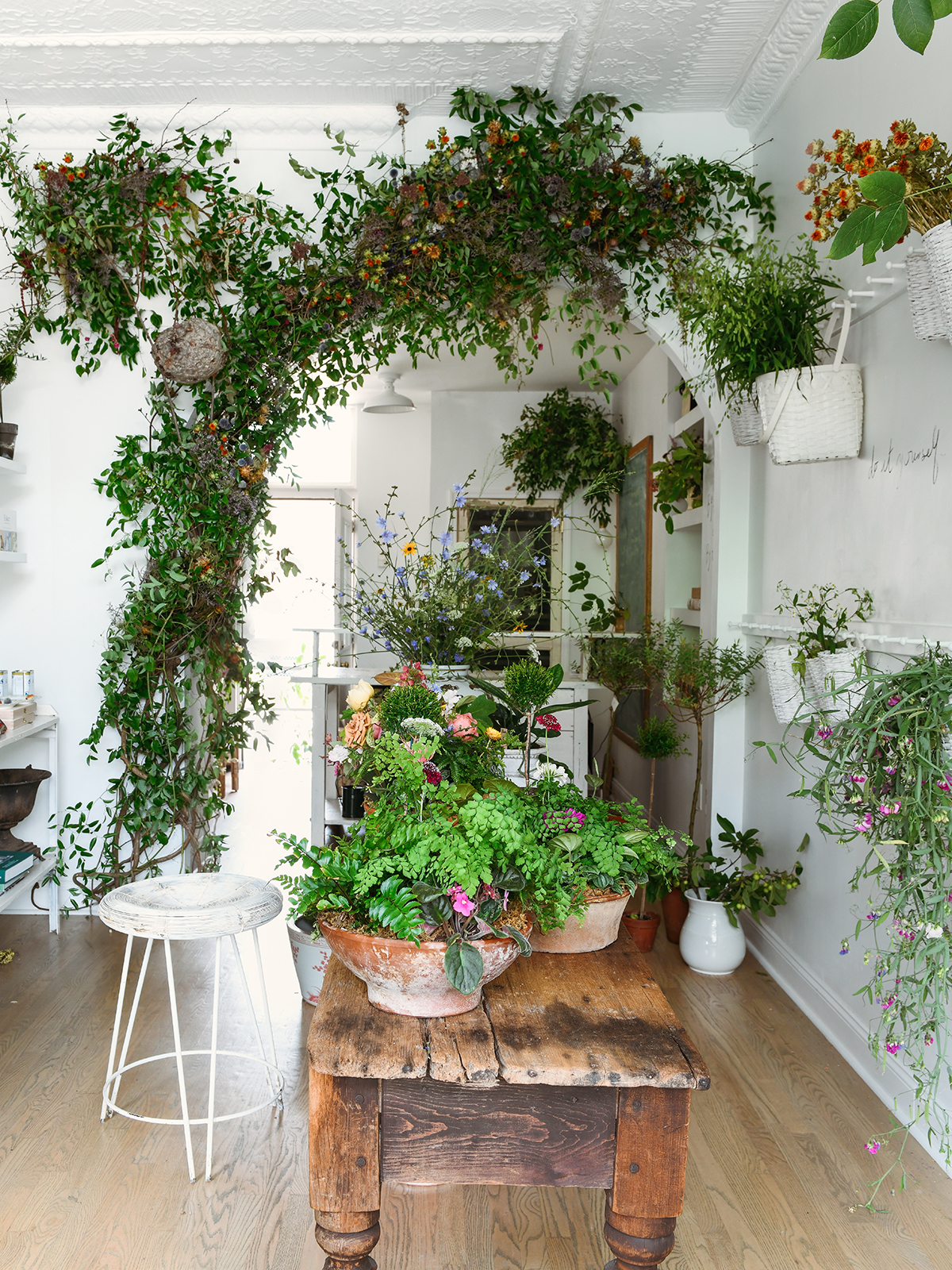 archway covered in greenery