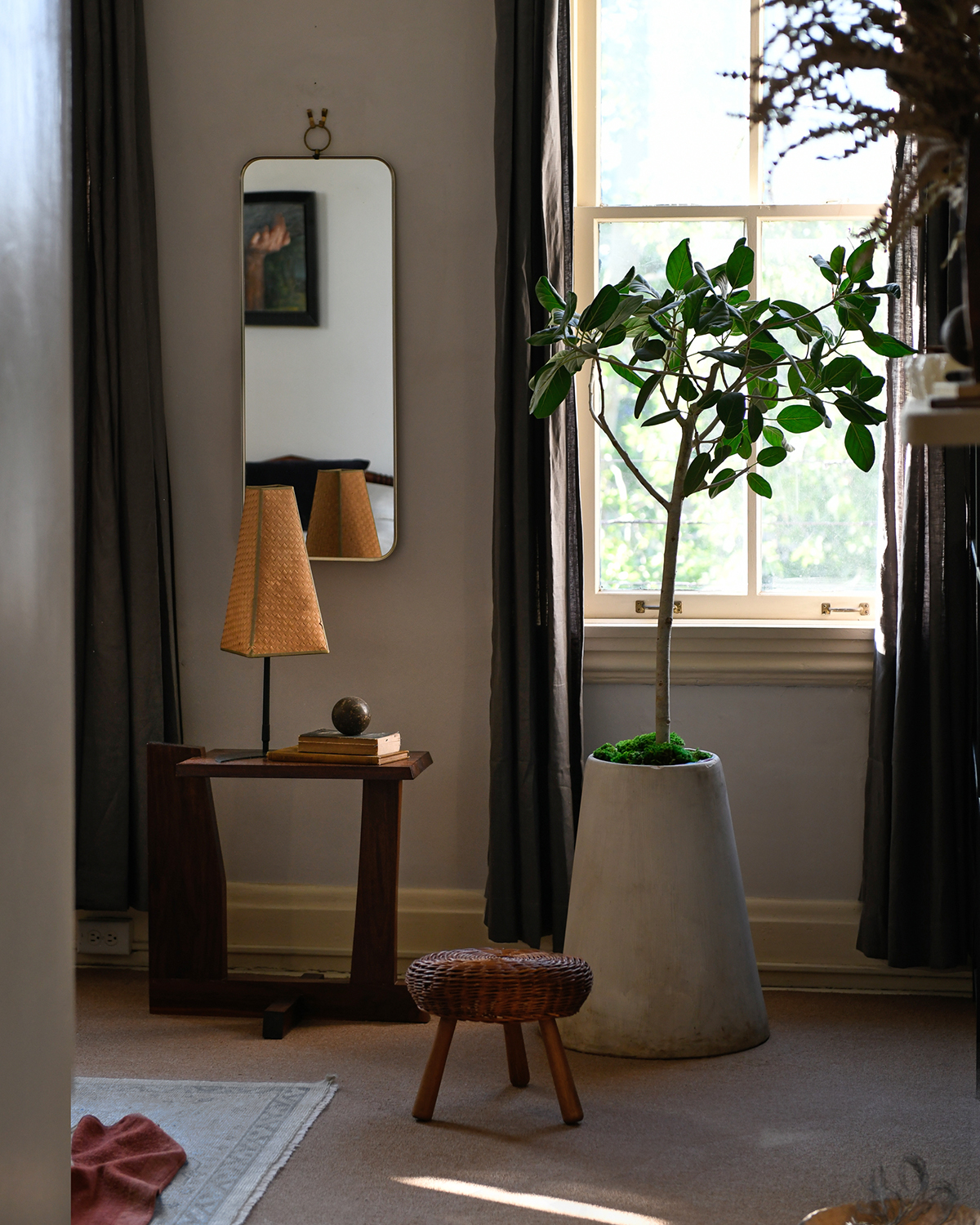 Potted tree near window in a living room