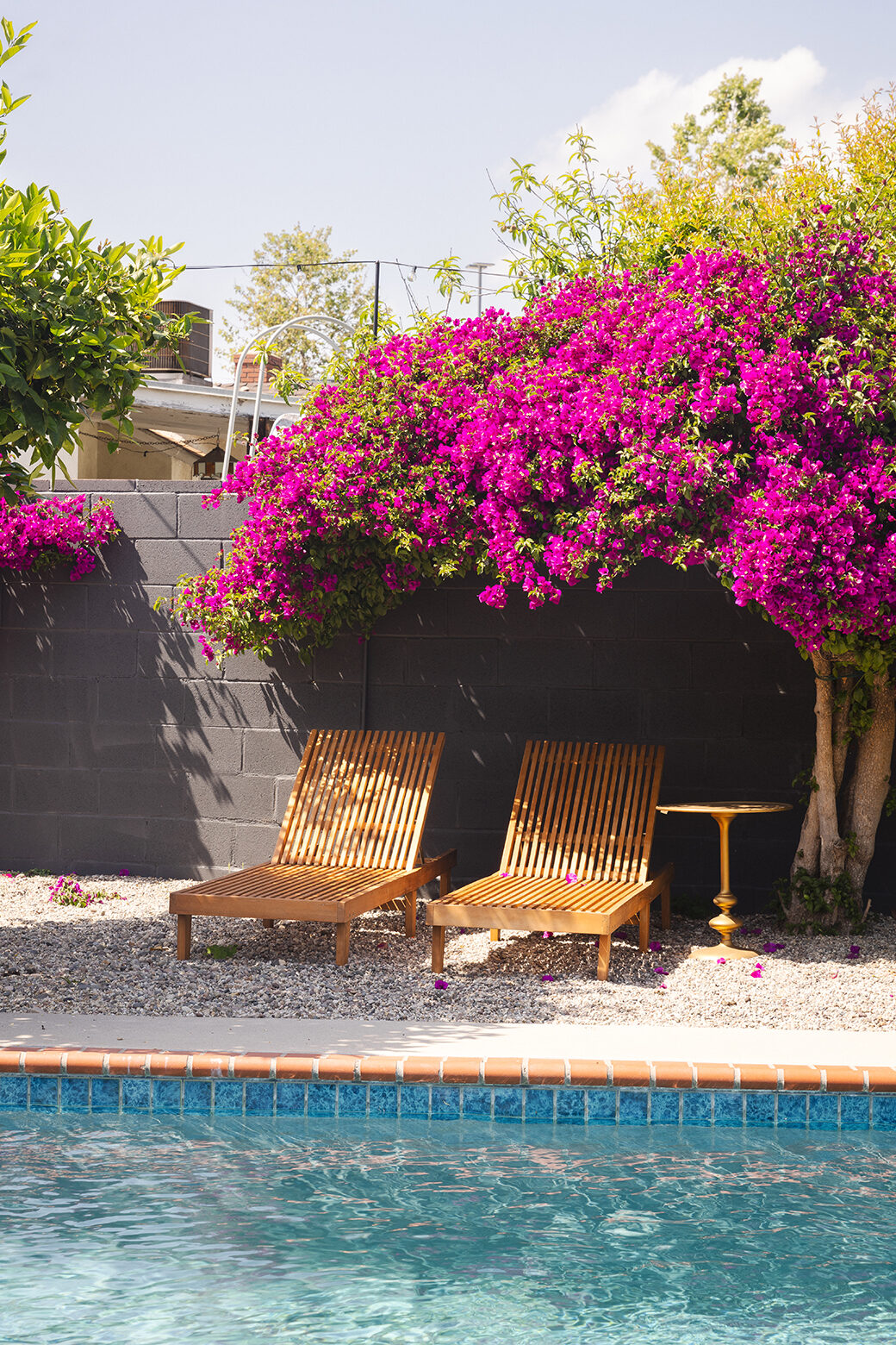 flowers over pool sun loungers