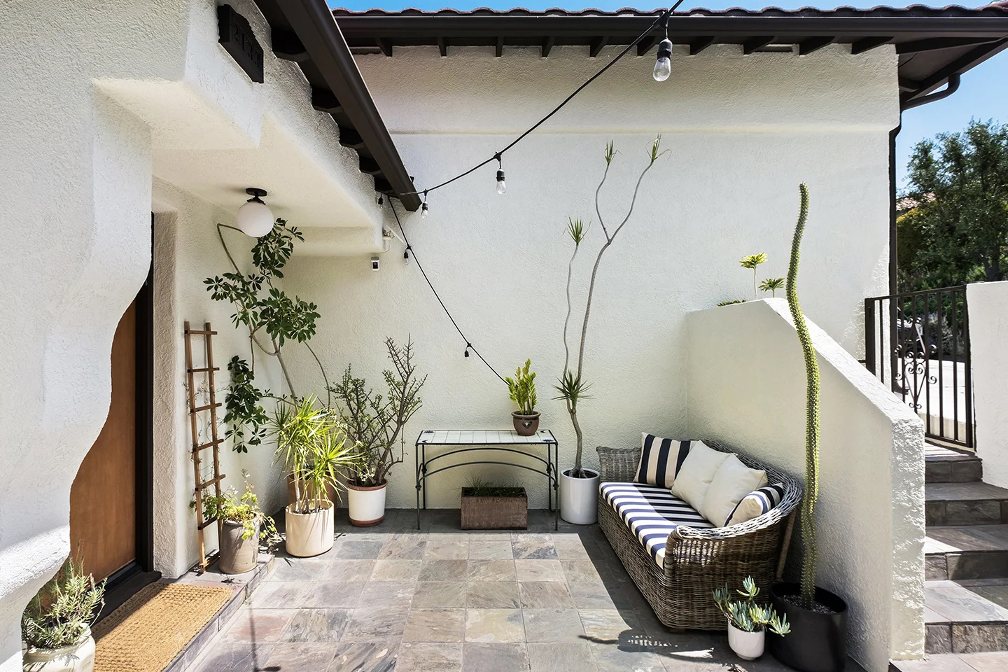 plants around front door