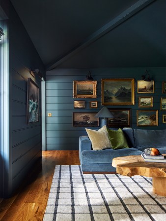 Living room with blue and white windowpane rug