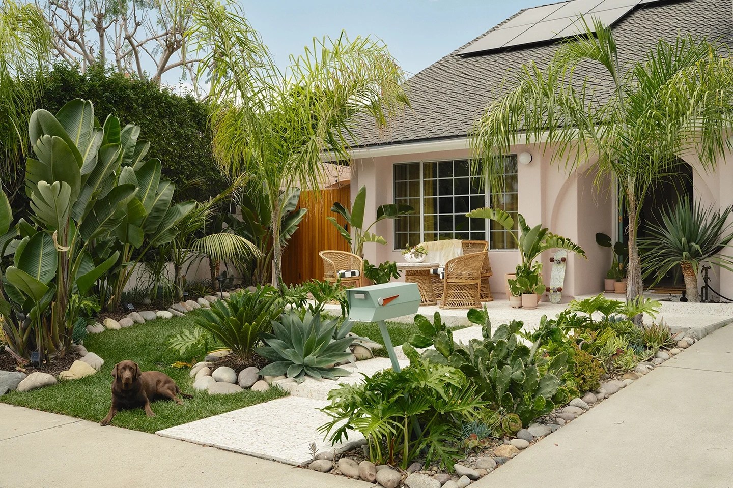 tropical plants in front yard