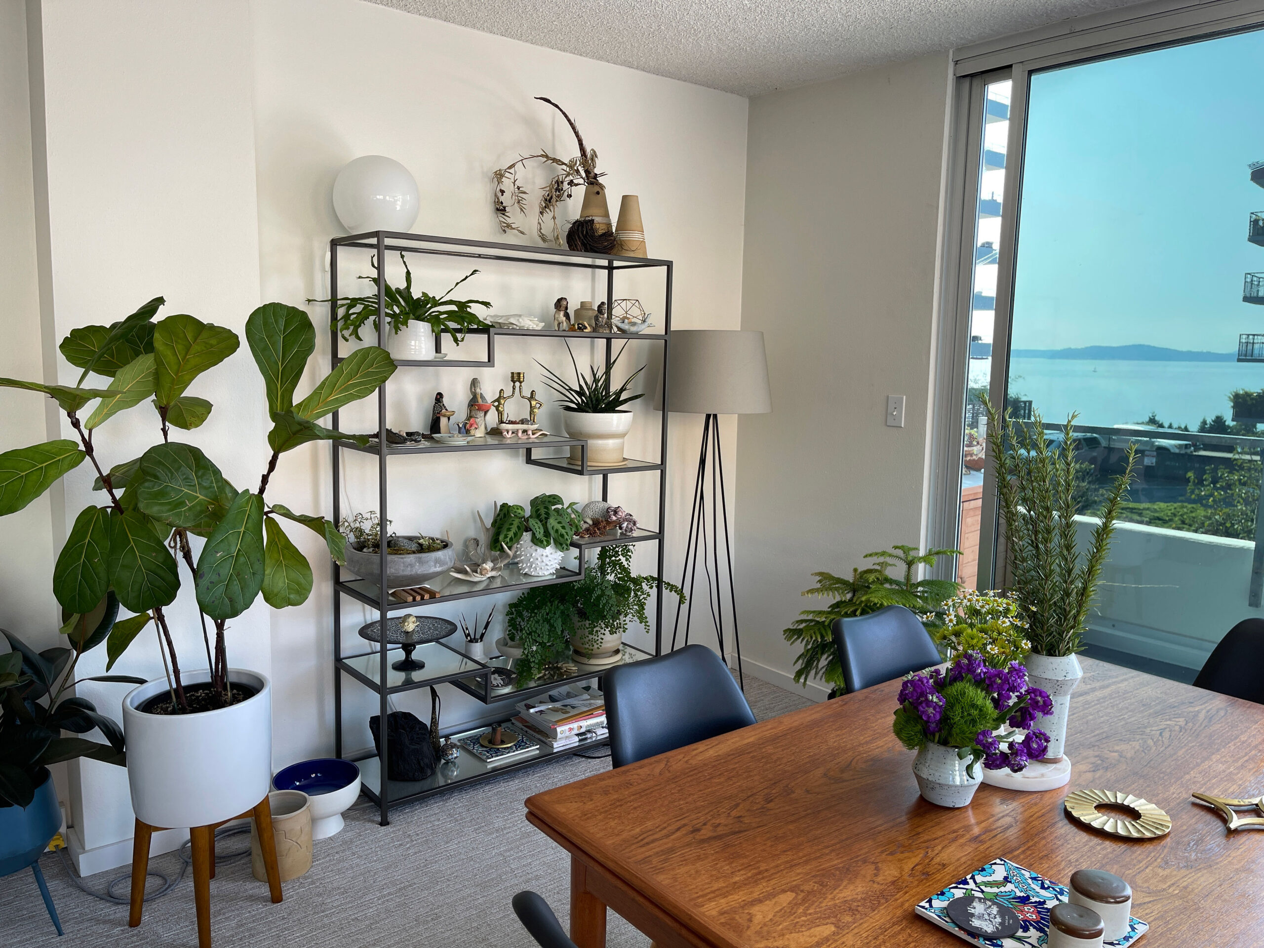 shelving with house plants