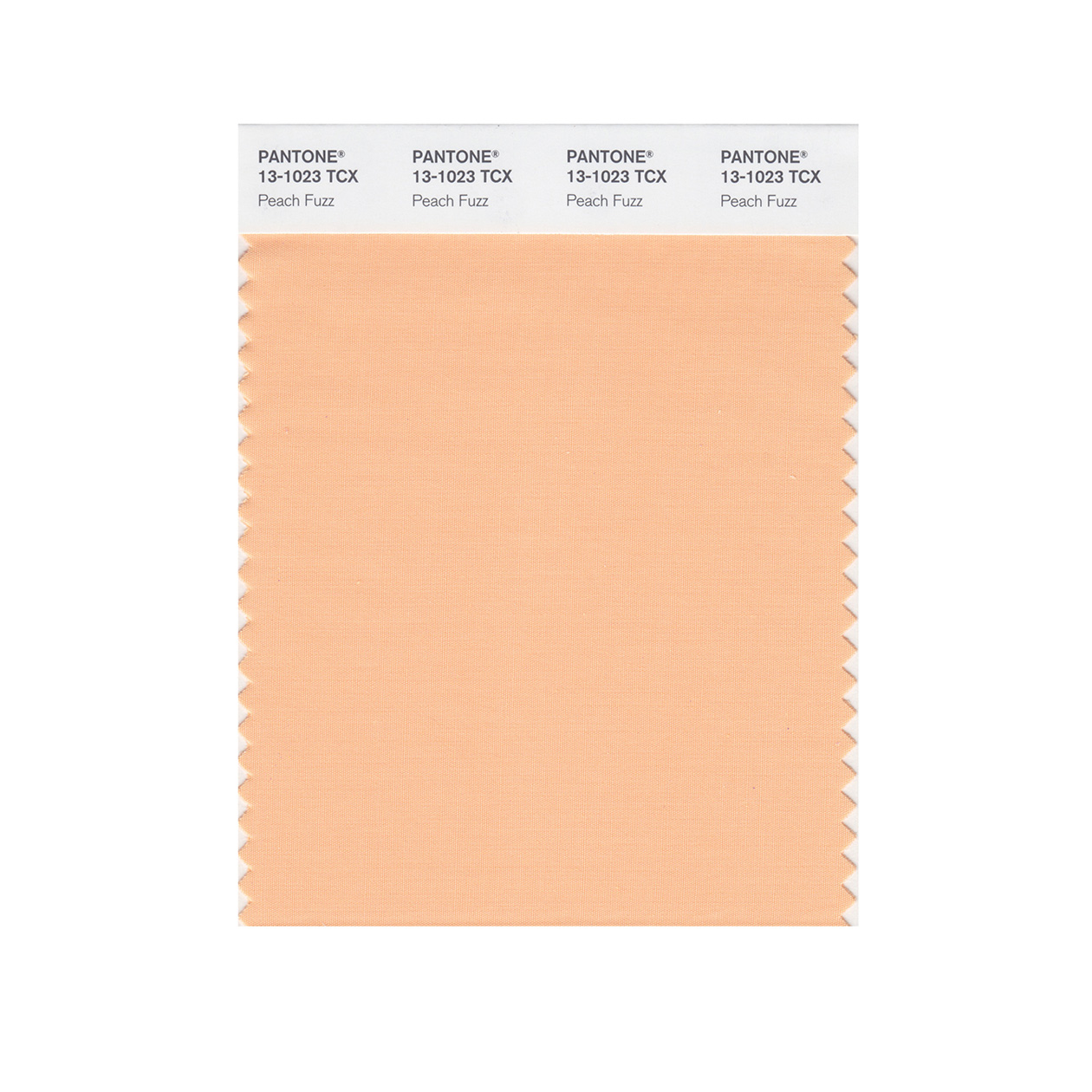 peach swatch