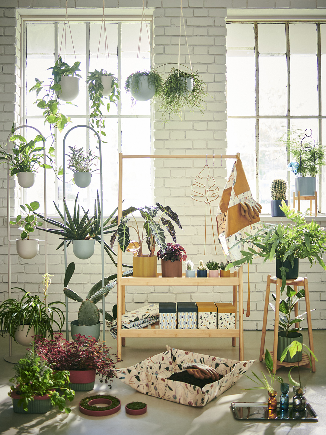 plant accessories