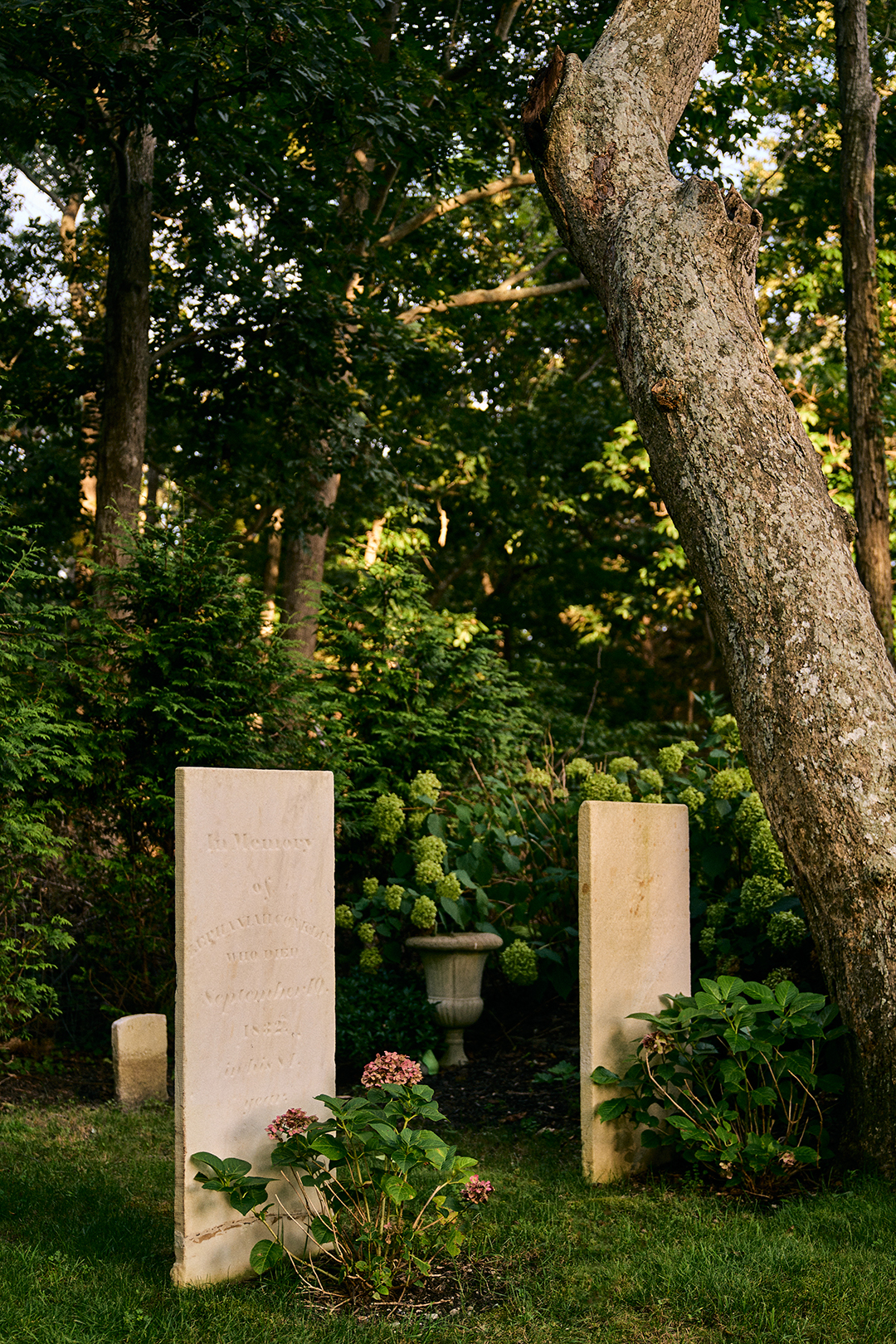Headstones in a backyard graveyard