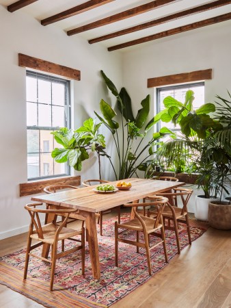 Dining room filled with houseplants