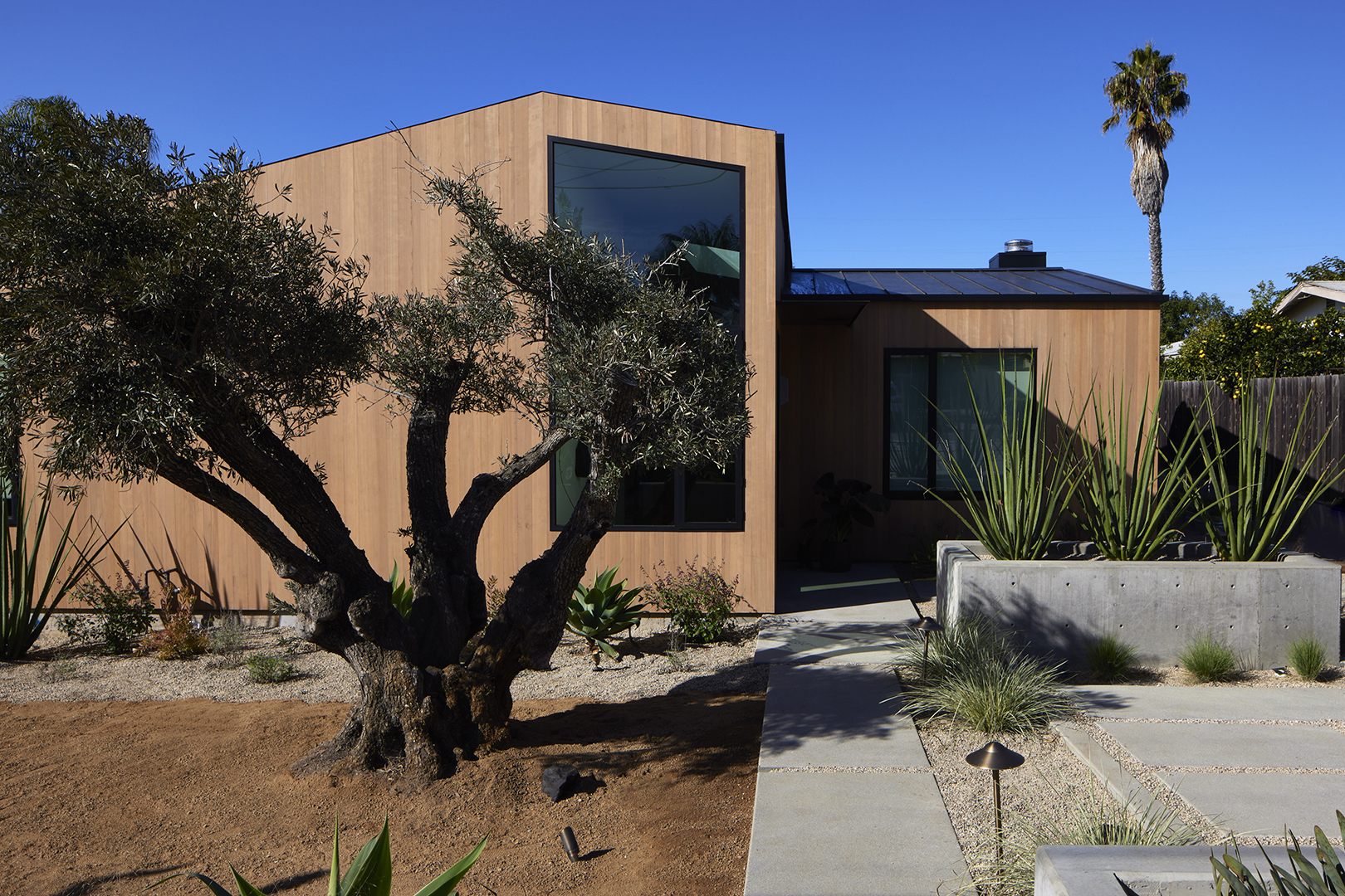 modern wood house