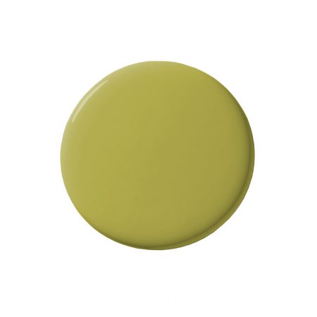  Benjamin Moore Olive Tree